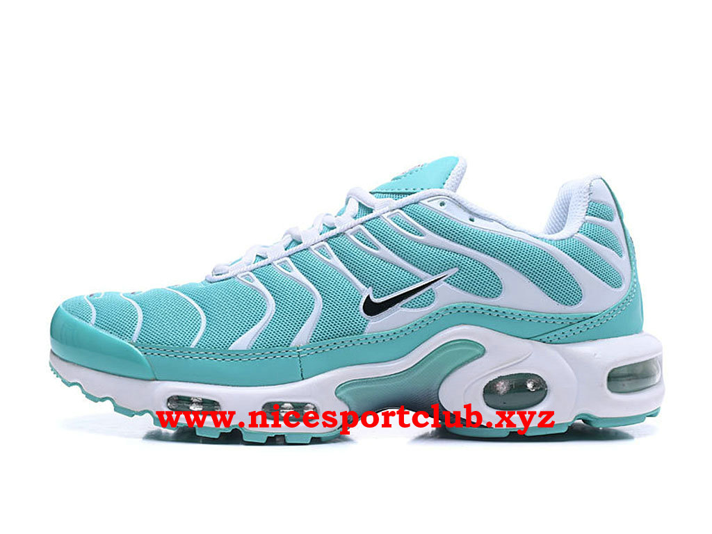 air max tn homme bleu air max tn homme bleu