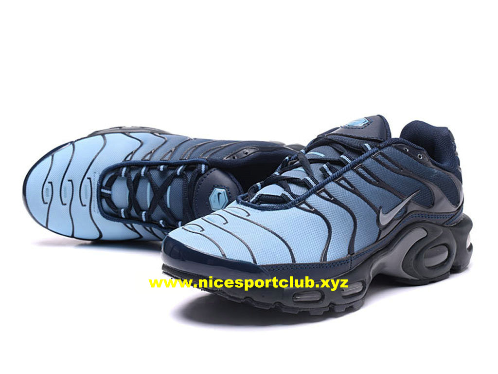 nike tn gris bleu