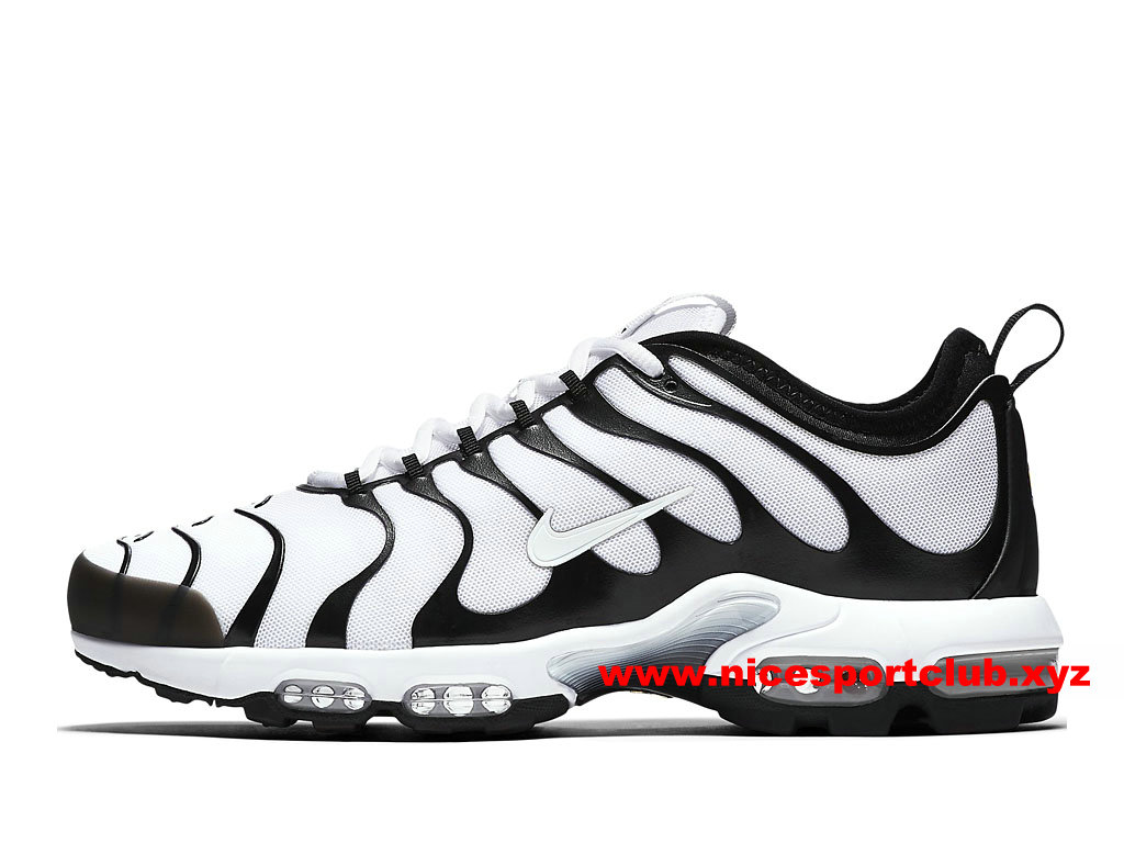 chaussure nike aire max tn